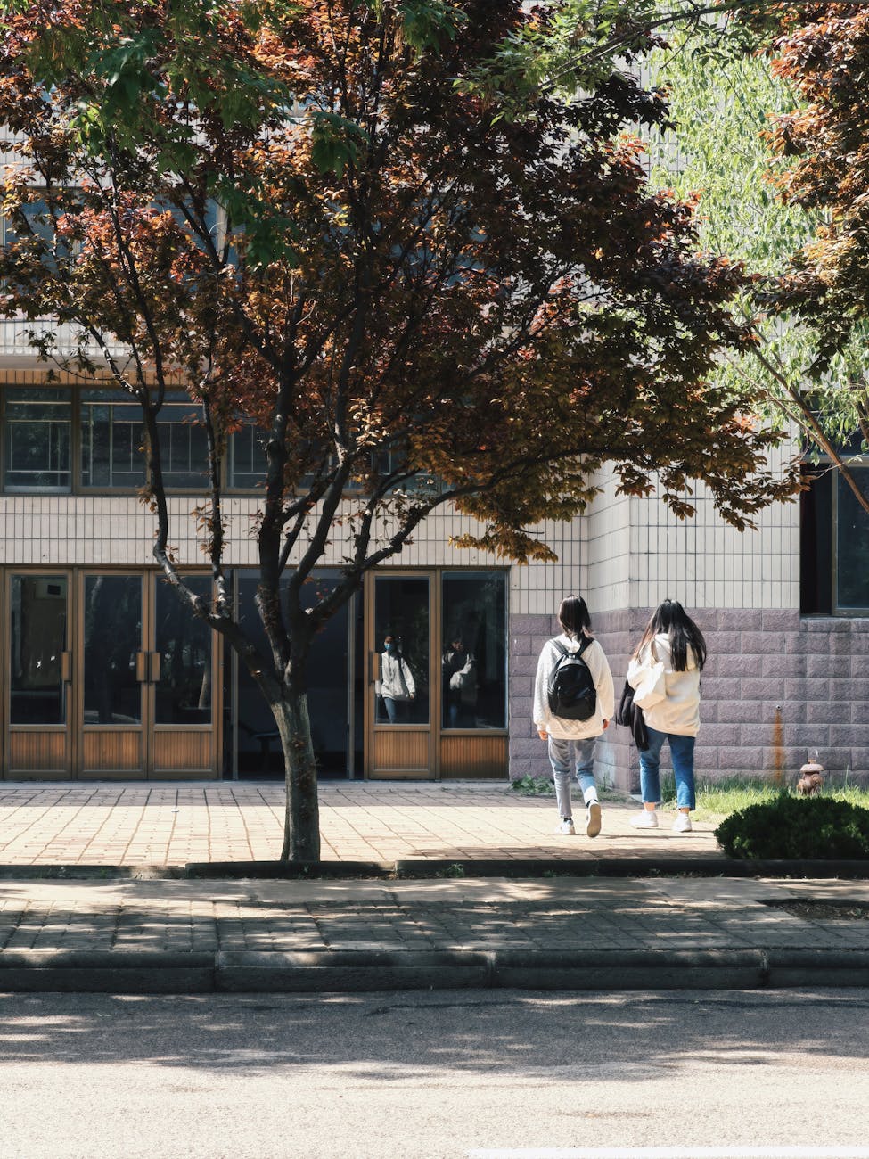 Non-Profit Bookkeeping Portland: Fund Accounting, CT-12 & Form&nbsp;990